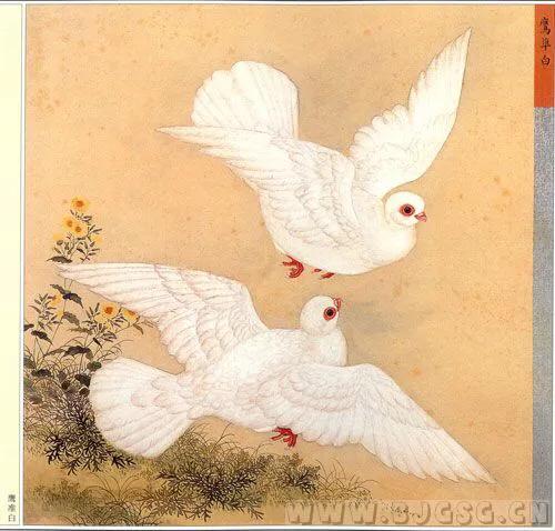 北京鸽哨制作,北京鸽哨晨曲