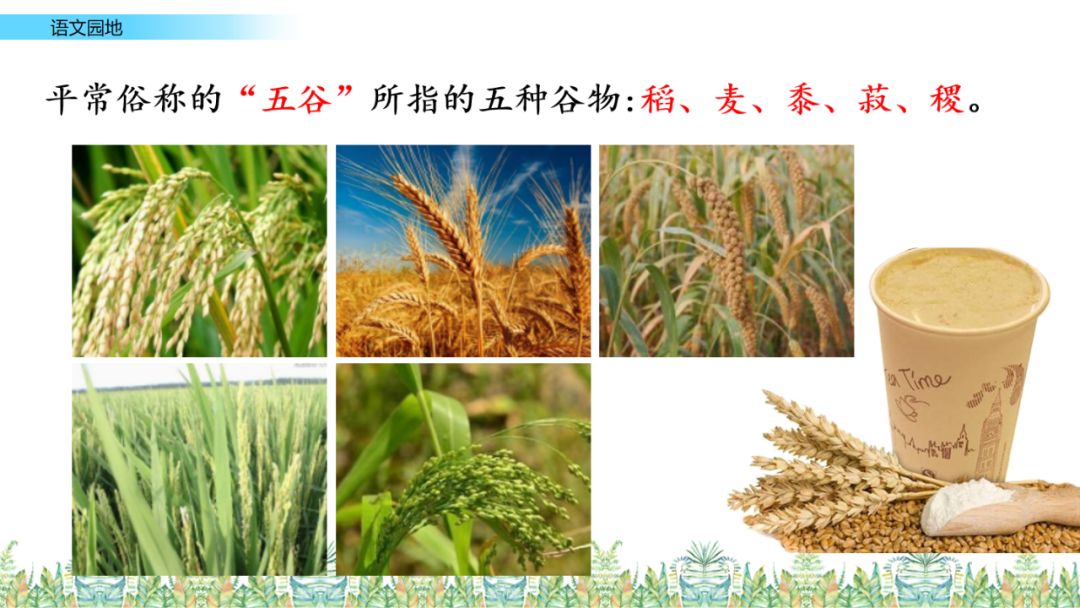 统编版六下语文课堂作业本答案,统编版语文1-6年级上册课后答案