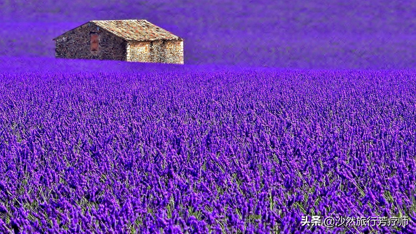 芳疗纯露,芳疗店纯露怎么用
