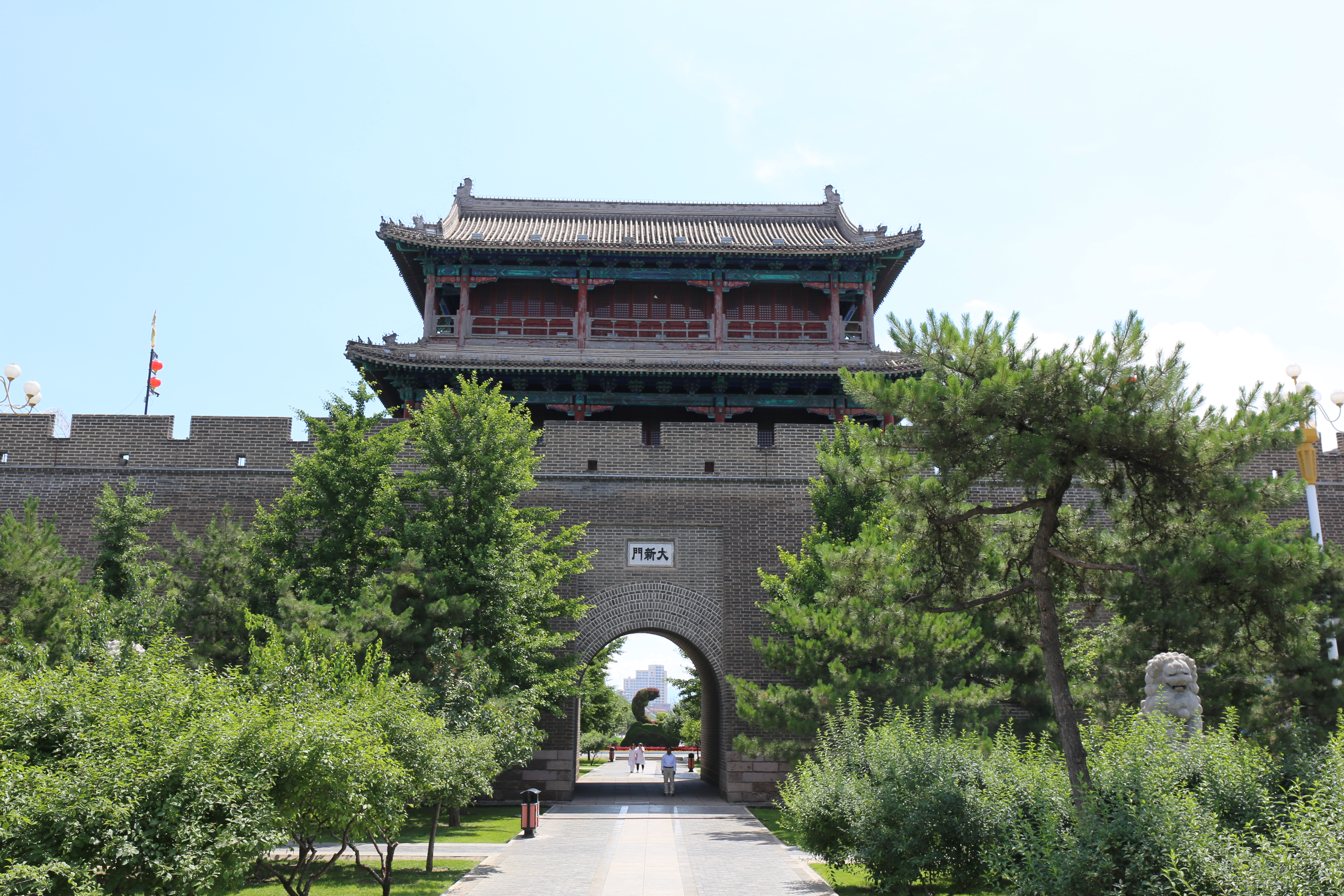 栾祥平出席活动,中医名家针灸治疗视频