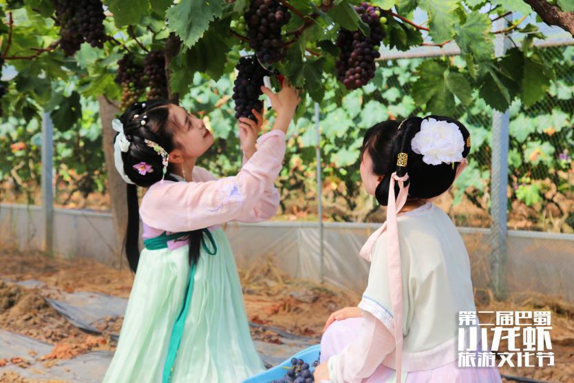 巴蜀文化旅游节,第二届柑橘旅游文化节