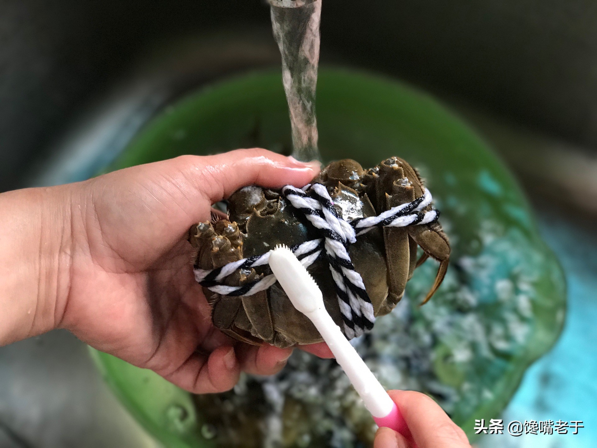 螃蟹为什么要捆着,螃蟹为什么要藏起来