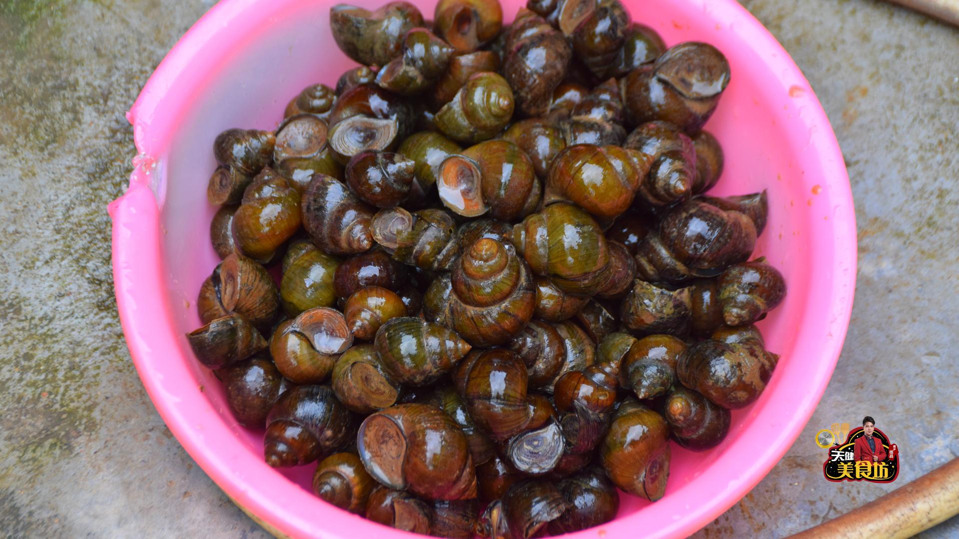 为什么你炒田螺吸不出来，教你只需简单1招，吃田螺不再用牙签！