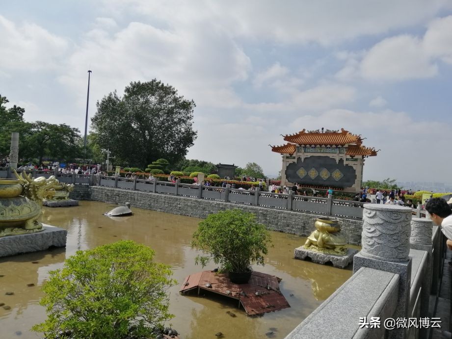 深圳凤凰山森林公园游玩攻略,深圳凤凰山森林公园游记