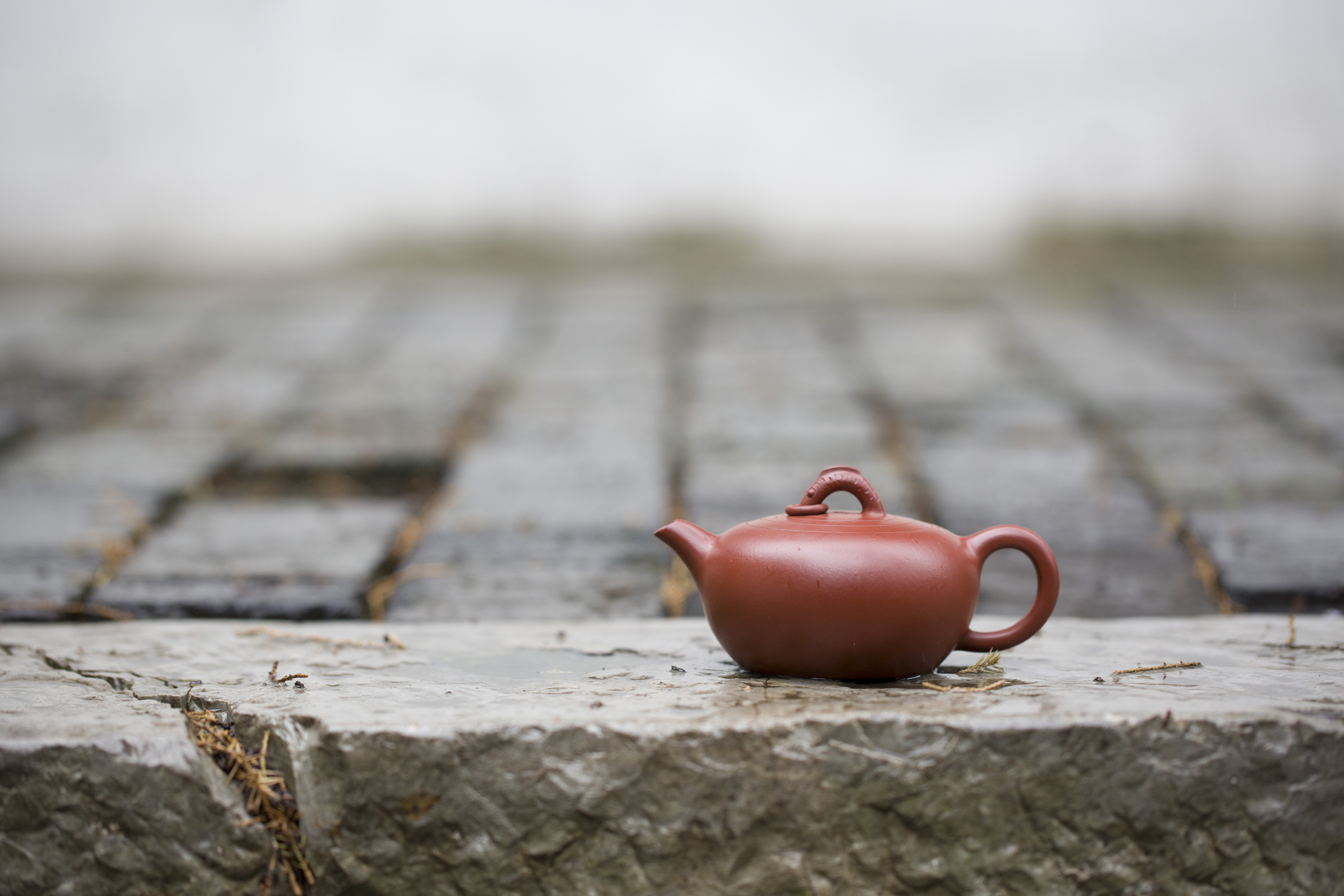 放大镜看朱泥大红袍,朱泥大红袍真假鉴别