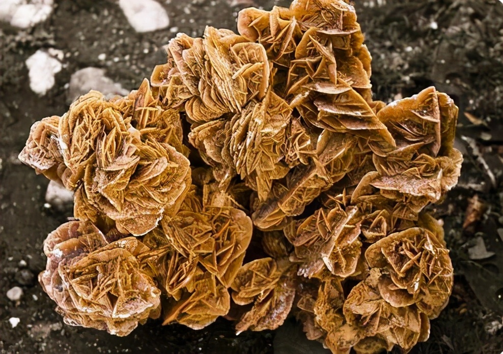 沙漠中的稀有石头,在沙漠捡哪些稀有的石头