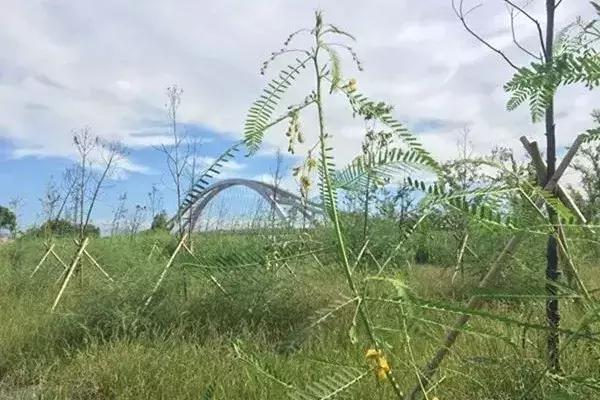 致敬青春改革开放40年,致敬改革开放40年民营企业