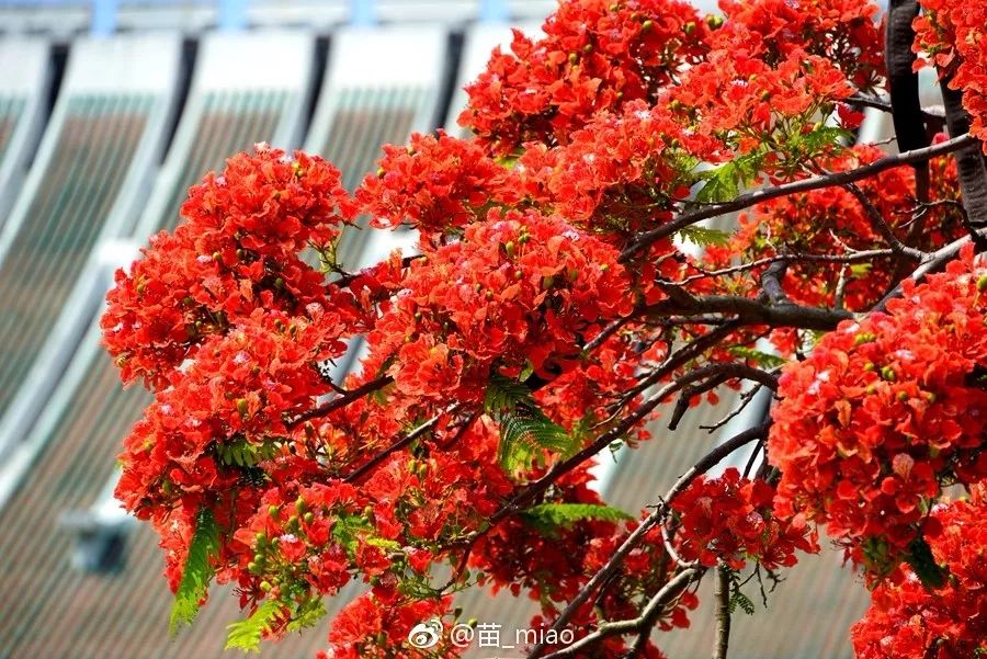 你好，我叫厦门，这是我的简历