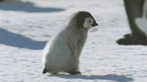 马鞍山初升高升学率,升升最近视频