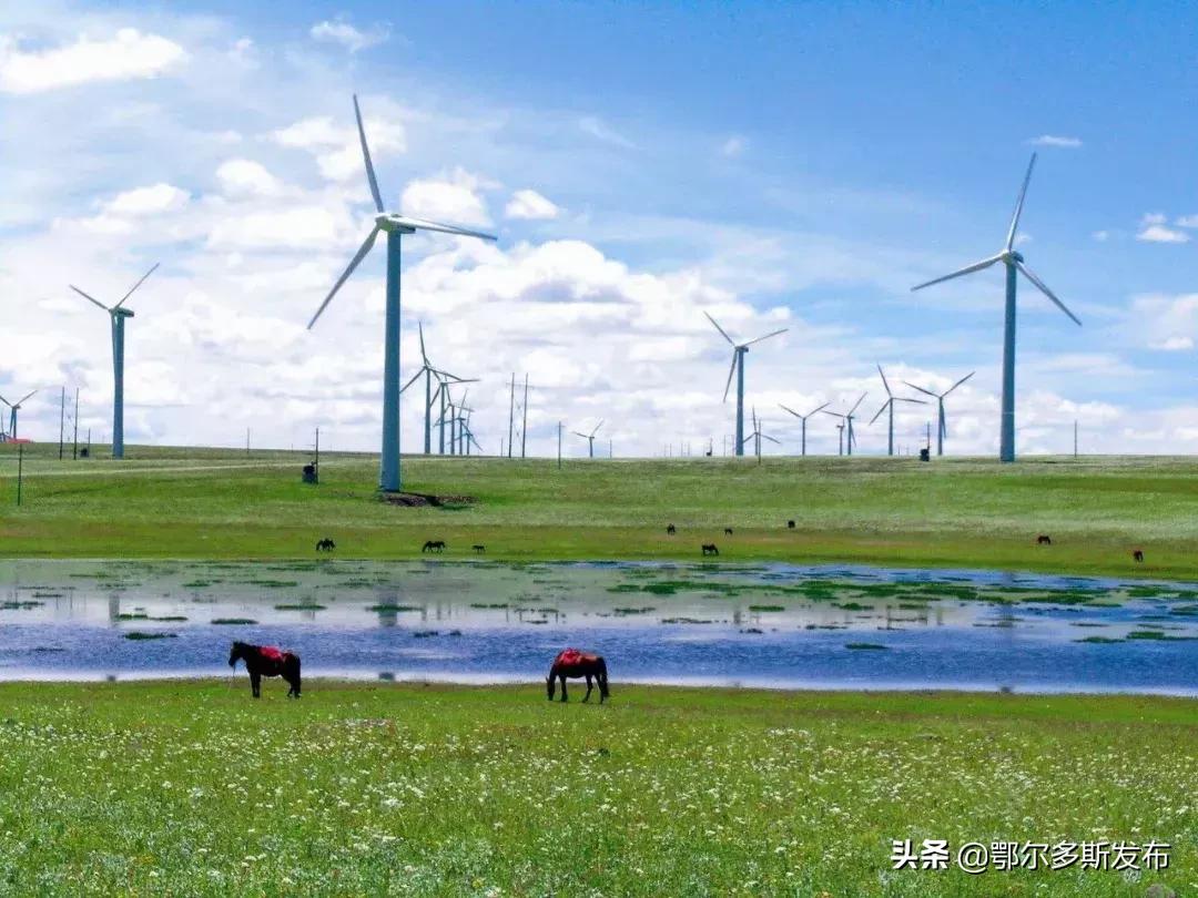 牛！原来内蒙古有这么多第一