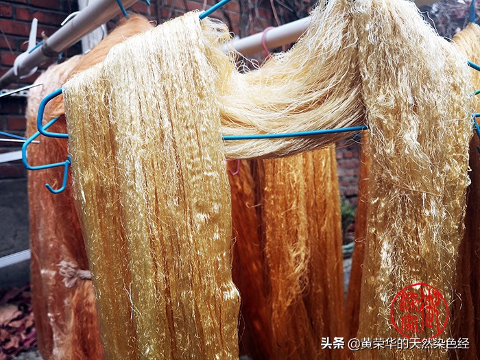 染色植物手工,纯手工植物染布棉布