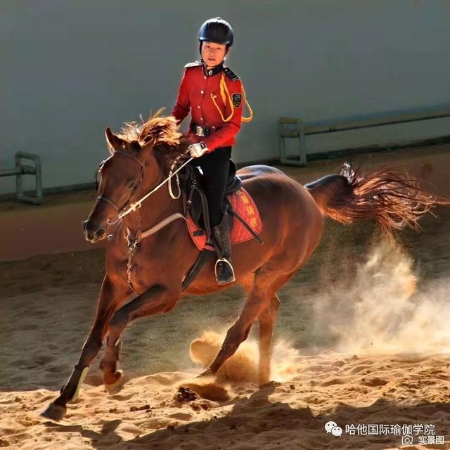 11月不负秋光不负卿恒大嘉丽泽养生谷百人户外瑜伽