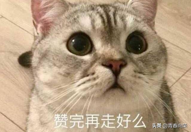 买电脑显示器应该注意些什么,新手电脑显示器如何选购