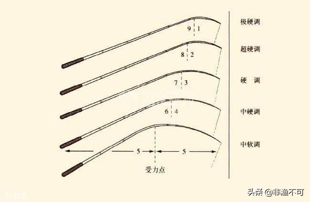 手竿钓鱼新手入门视频教程,新手钓鱼手竿抛竿饵料