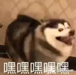 甲方：用SU把这堆盒子拆开，我要看背面