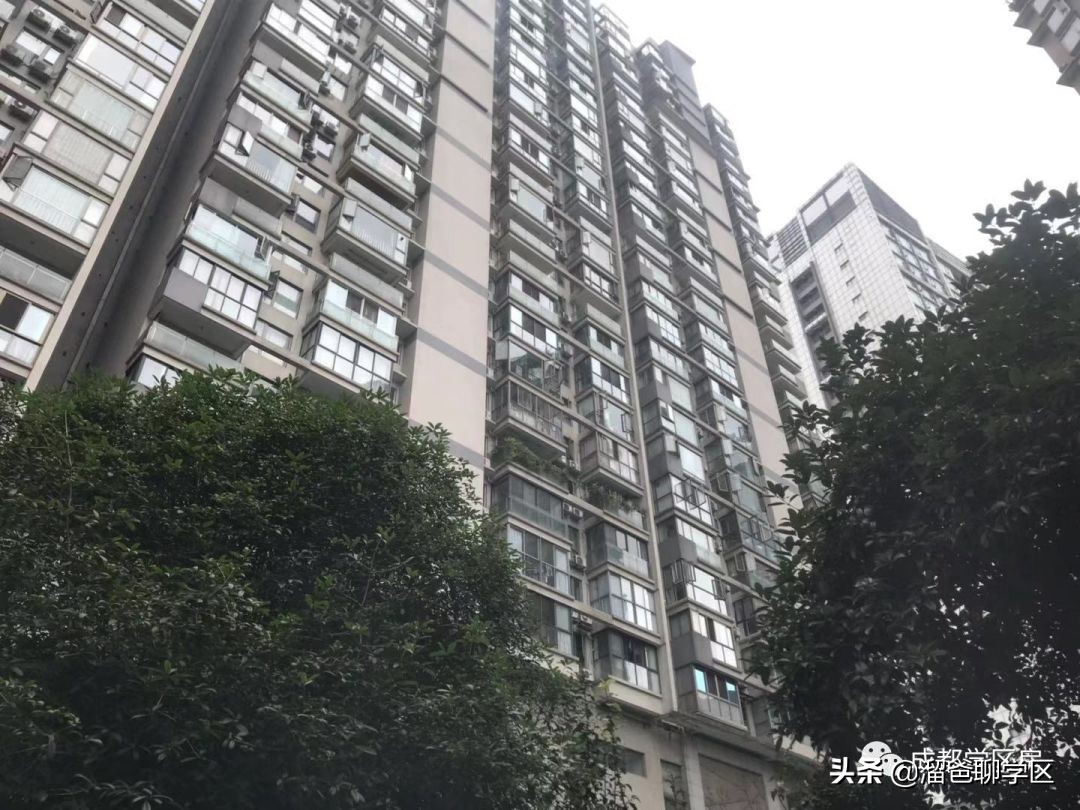 锦江四区小学推荐,锦江二片区四所小学排名