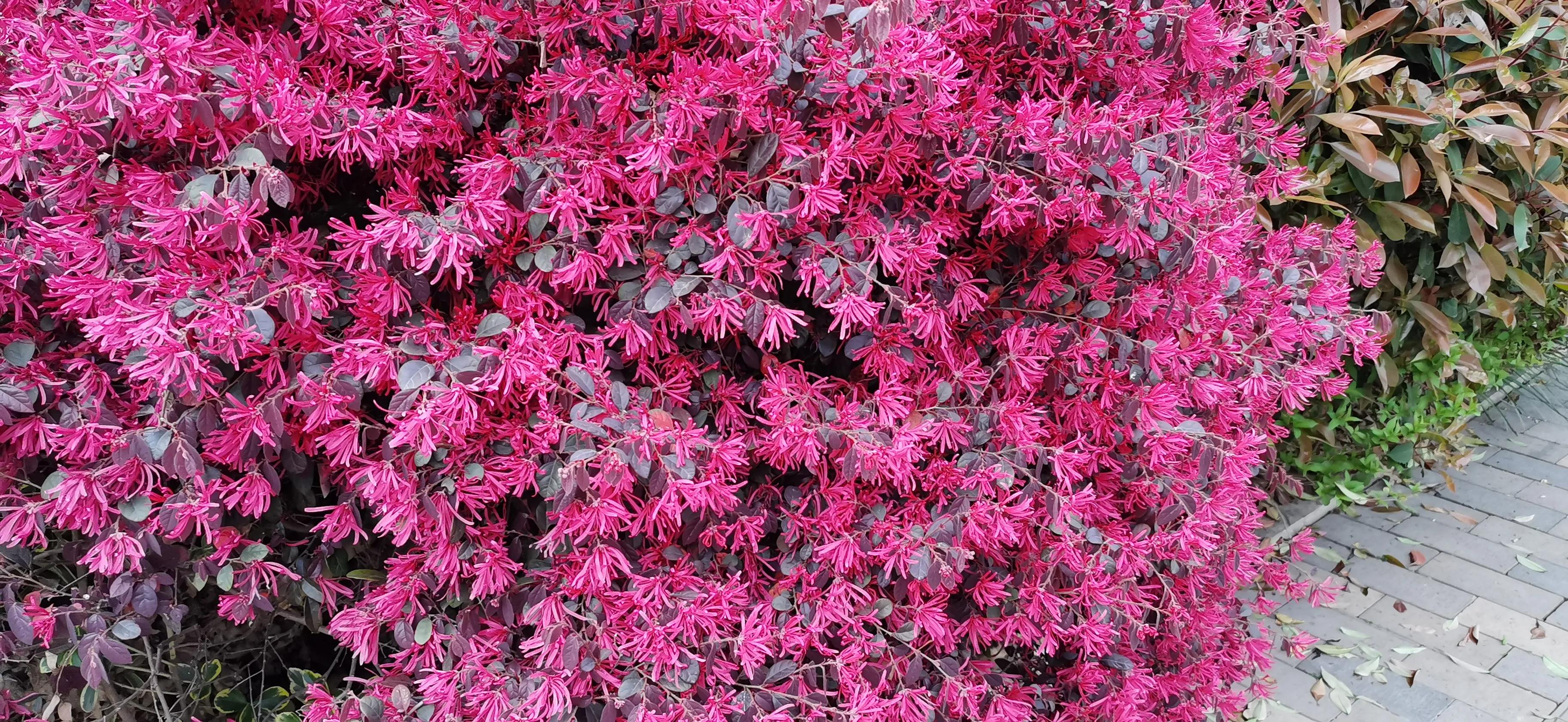 见证上海松江大学城地铁站周边的十年变迁