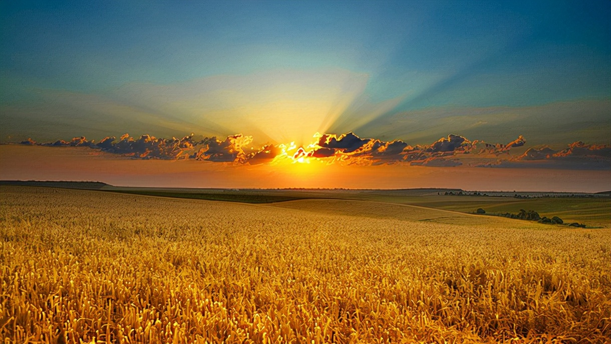 霸气诗经名句取名男孩名字,取自诗经带木字的男孩名字寓意