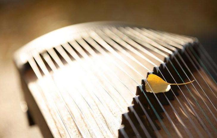 零基础学习古筝一年达到什么水平,怎么让孩子学古筝