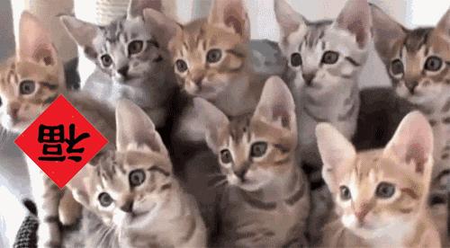 支付宝集五福找福字得福卡第二关,支付宝集五福五福卡大合集