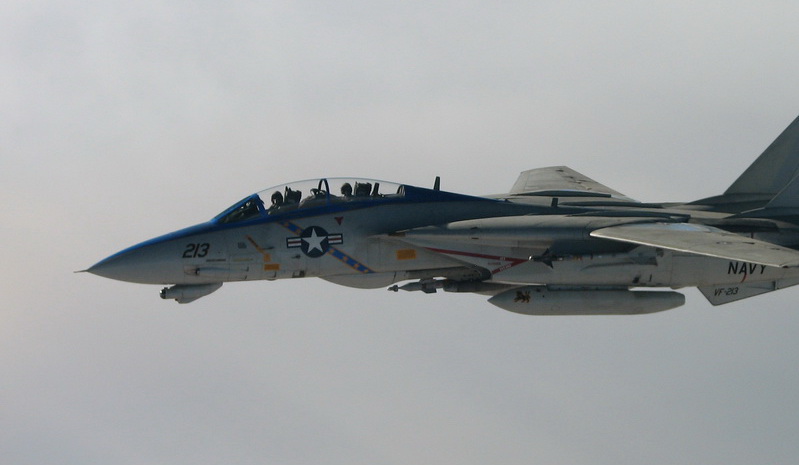 猫咪需要哪些用品,猫迷惑新技能