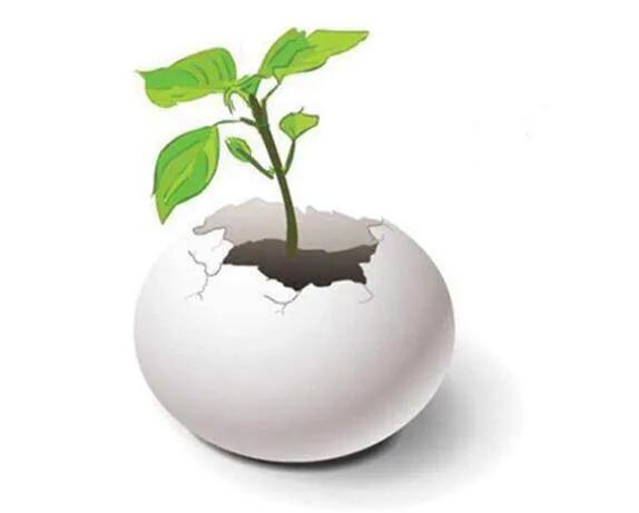 妙招姐生活小窍门去油污,生活小窍门家庭妙招视频