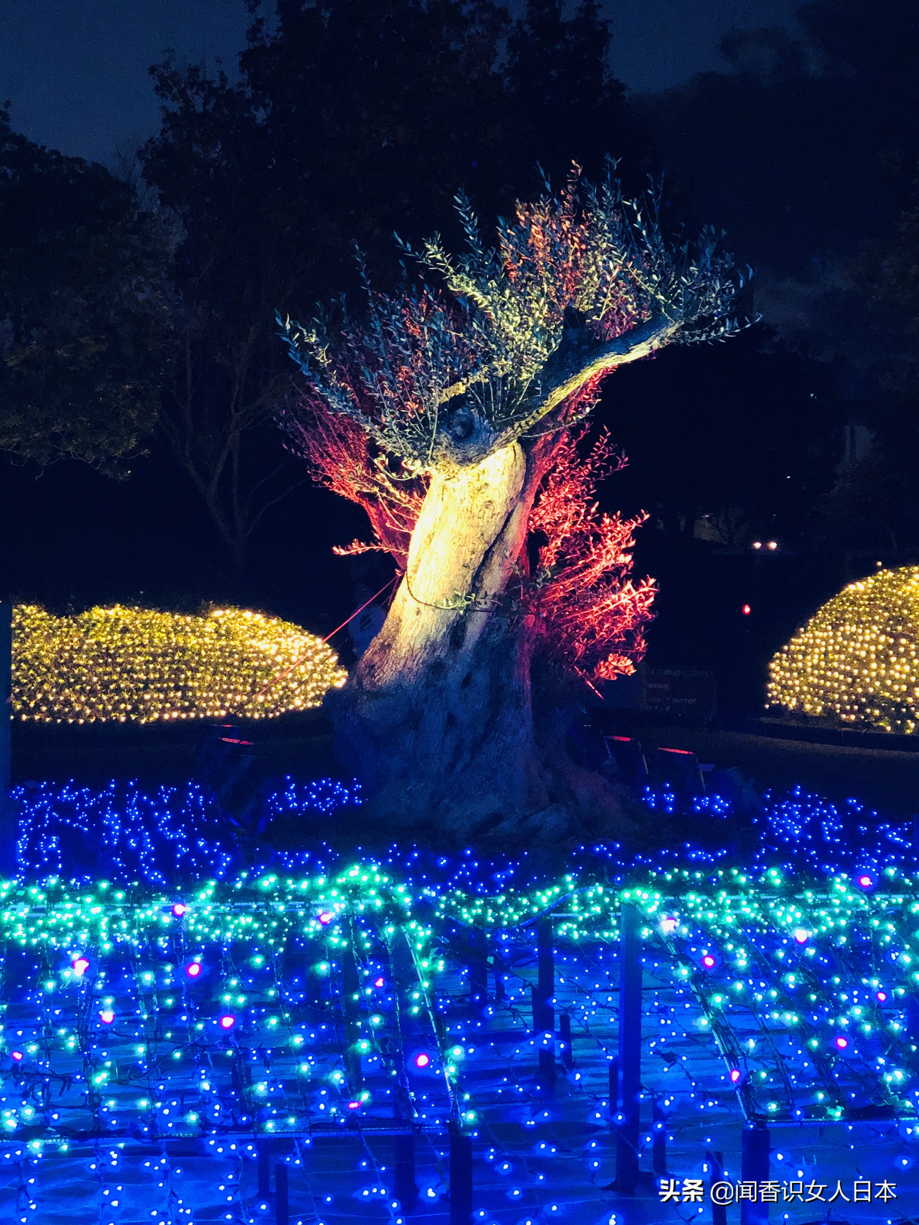 日本最美夜景,日本最美水上光影隧道