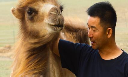 军农乳业招商中心,军农乳业