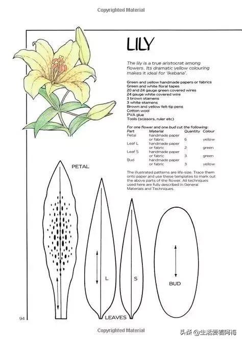 皱纹纸花朵手工艺术,纸艺玫瑰花的制作方法皱纹纸