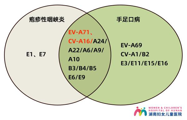 手足口病兄弟,手足口病的亲兄弟