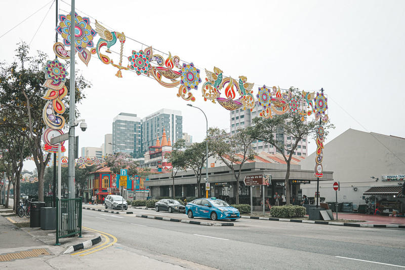 一人一猫环游,一人一猫旅行