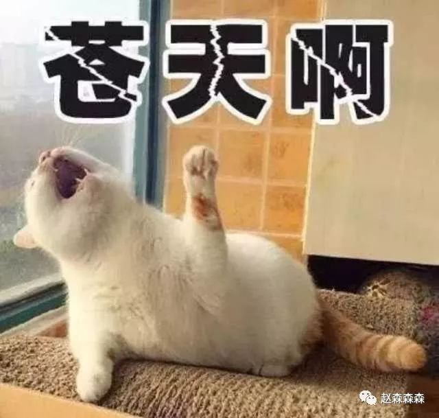 战斗民族的美食,战斗民族的美食视频