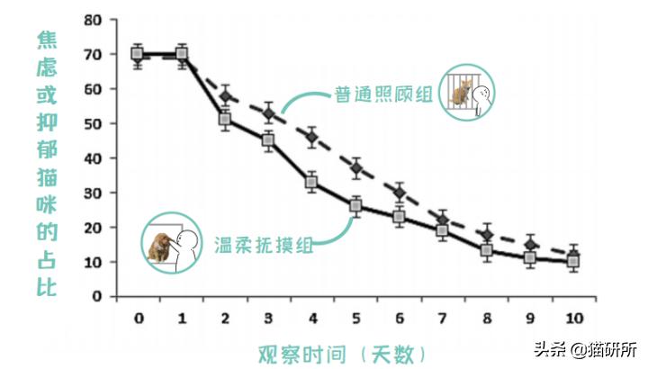 怎样让猫咪远离一个地方,怎么让猫咪远离耳螨