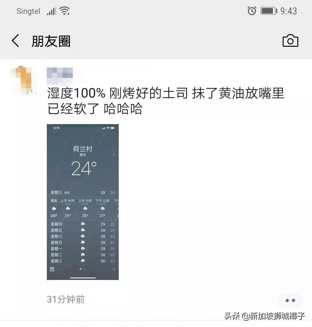 新加坡冻成狗,新加坡狂风暴雨来袭