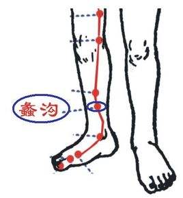 少府穴的用途有哪些,少府穴主治什么病