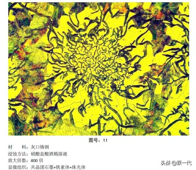 马氏体、奥氏体、珠光体,20种材料彩色金相,带你轻松识别