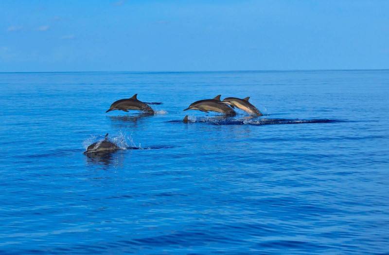 江西武宁小马尔代夫旅游攻略,马尔代夫旅游自由行详细攻略