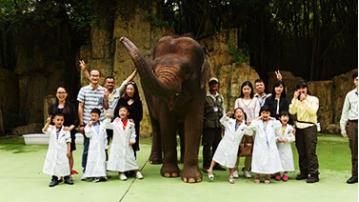 广州长隆野生动物世界游览图,广东广州长隆野生动物世界