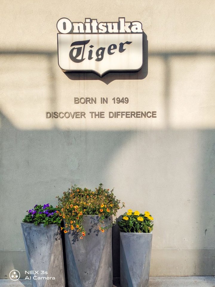 vivonex3带你体验5g速度,vivonex3参数配置详细