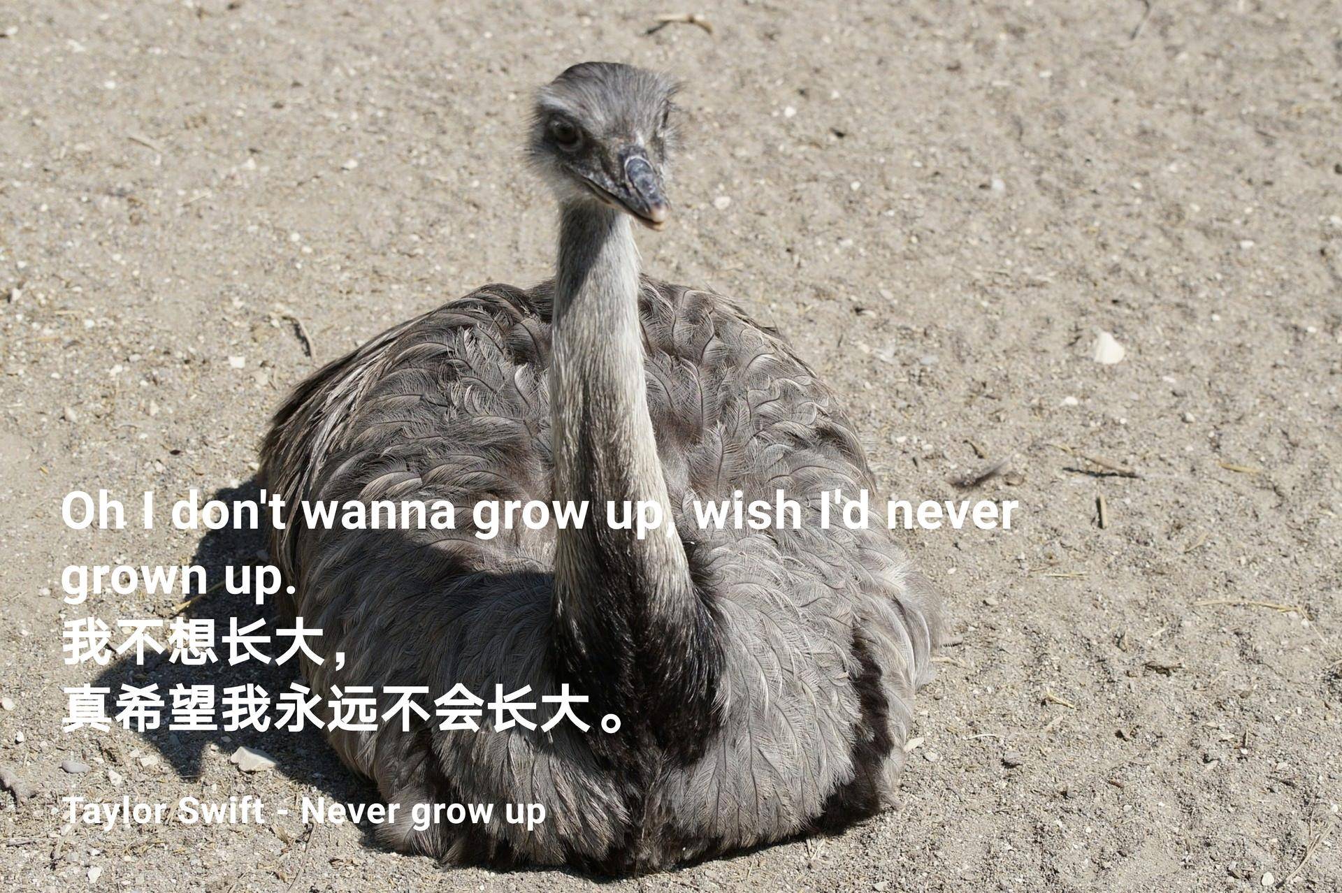 90后的我们突然不想长大了,90后为啥不愿意长大呢