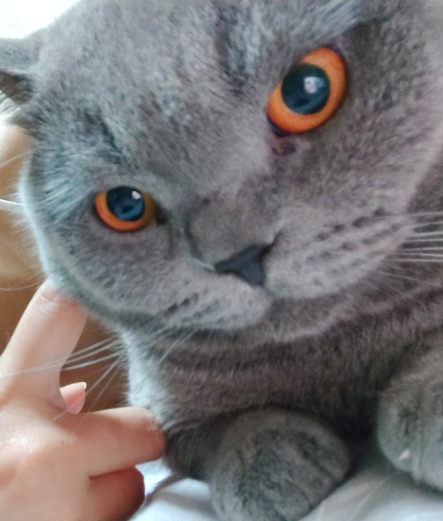 郝氏“十万个”怎么办?——人际关系