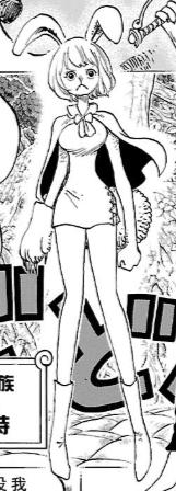 为什么说加洛特是草帽团的第十人 (加洛特是草帽海贼团的第十人)