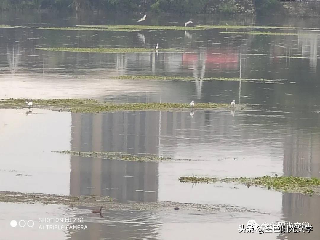 读书交流会英语,读书交流会流程