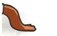 通过便便观察动物的健康,怎么判断宠物大便是否正常