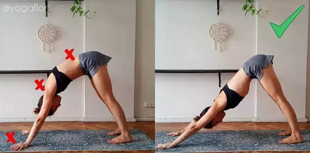 下犬式抬腿瘦腿,狗爬式减肥动作