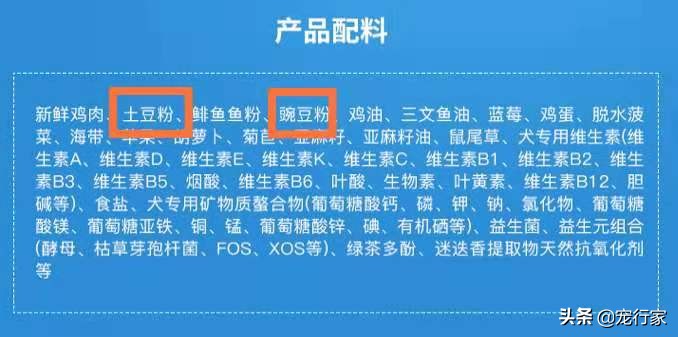 狗粮并不健康,狗粮是不是没有营养