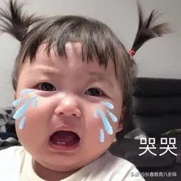 长春到底有多少所中小学?看完后做到心里有数