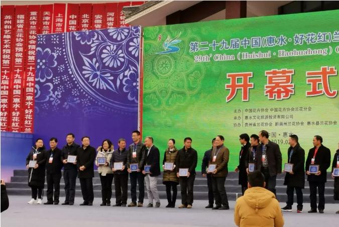 惠水第29届兰博会兰花获奖图片,惠水国际兰花展