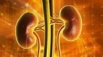 中西医结合治过敏性紫癜最好专家,中西医结合儿科过敏性紫癜