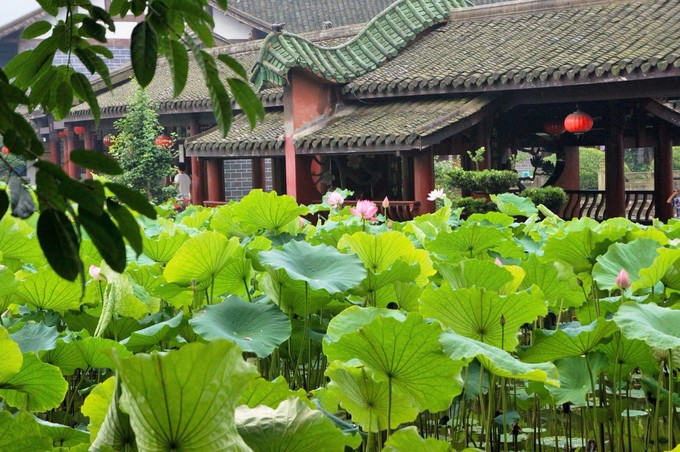 重庆记忆市井,重庆记忆满满